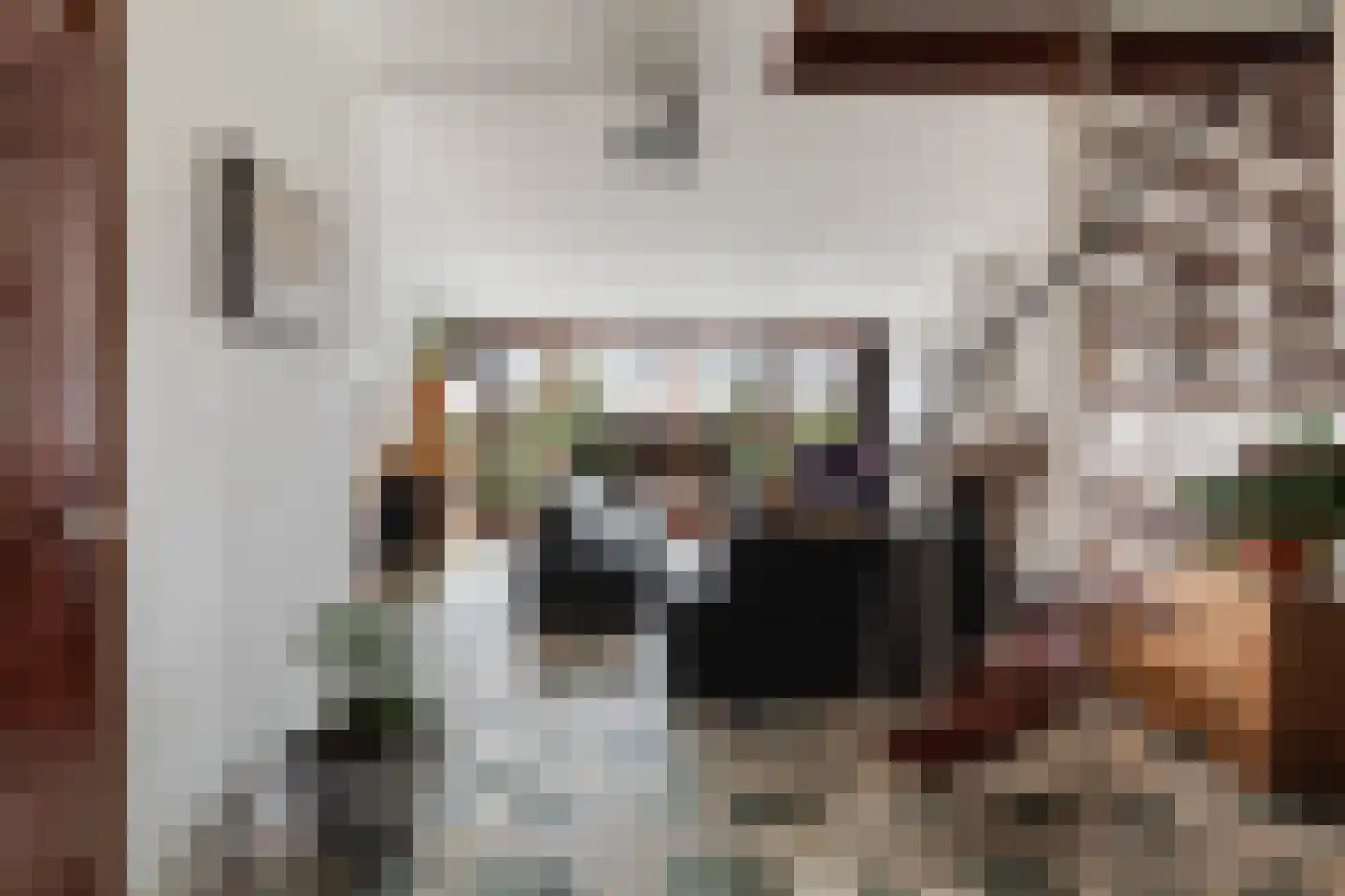 Mariënwaard 17 Capelle aan den IJssel thumbnail 15