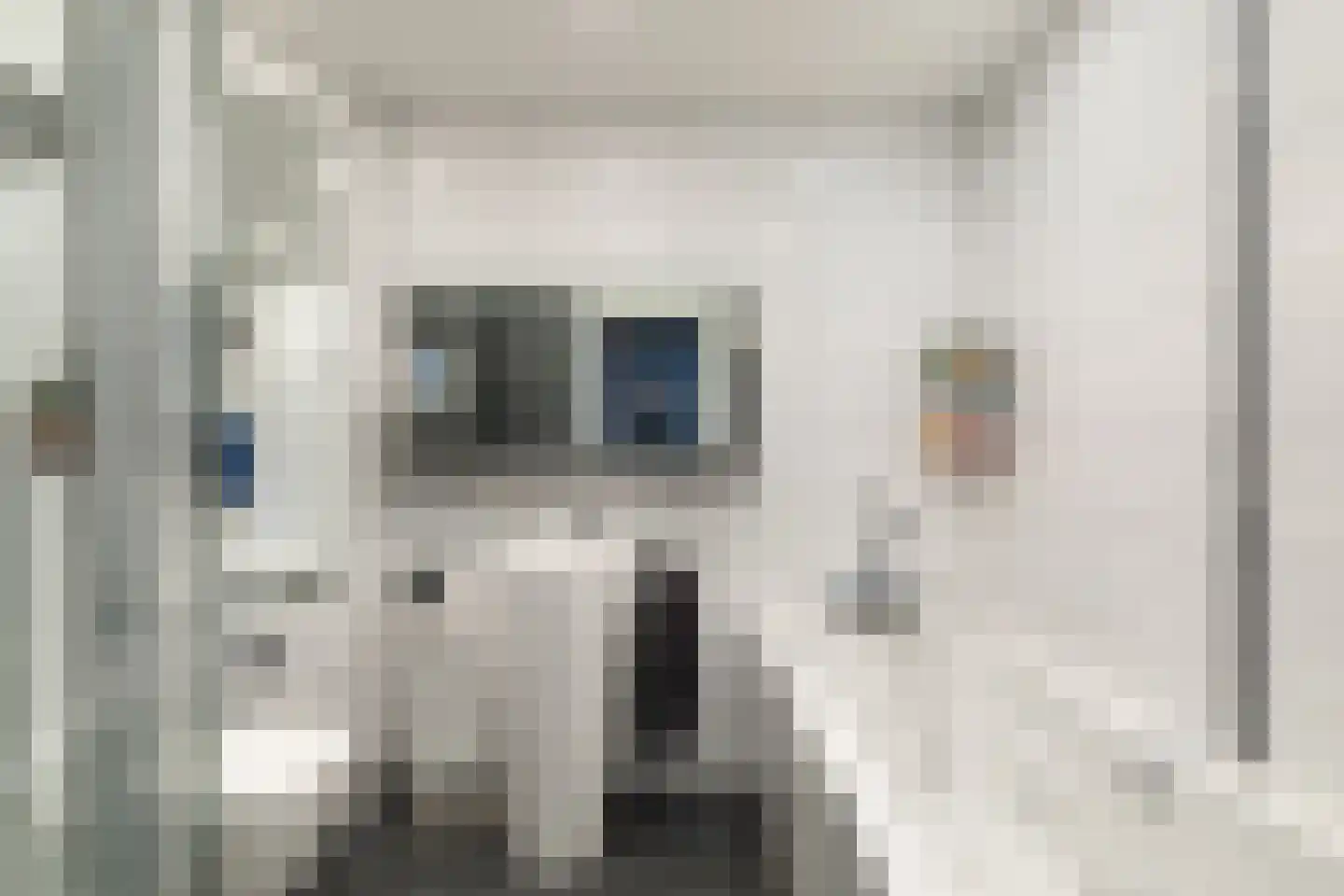 Mariënwaard 17 Capelle aan den IJssel thumbnail 34