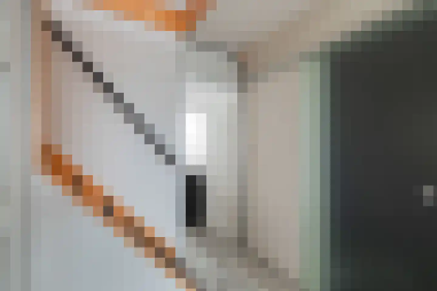 Mariënwaard 17 Capelle aan den IJssel thumbnail 38