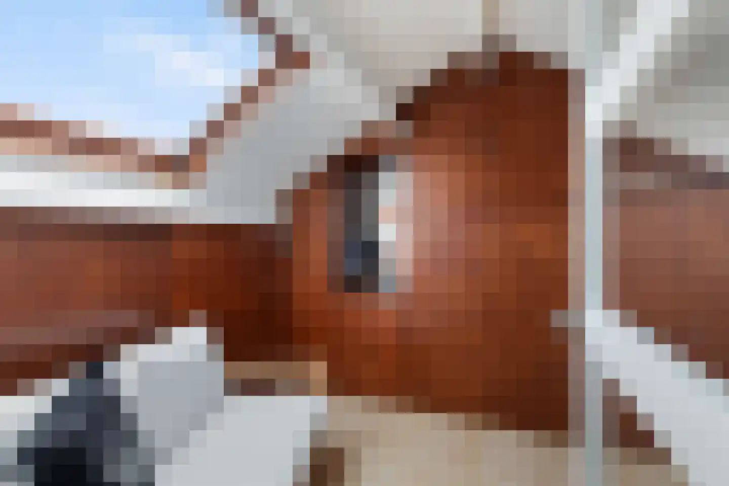Mariënwaard 17 Capelle aan den IJssel thumbnail 41