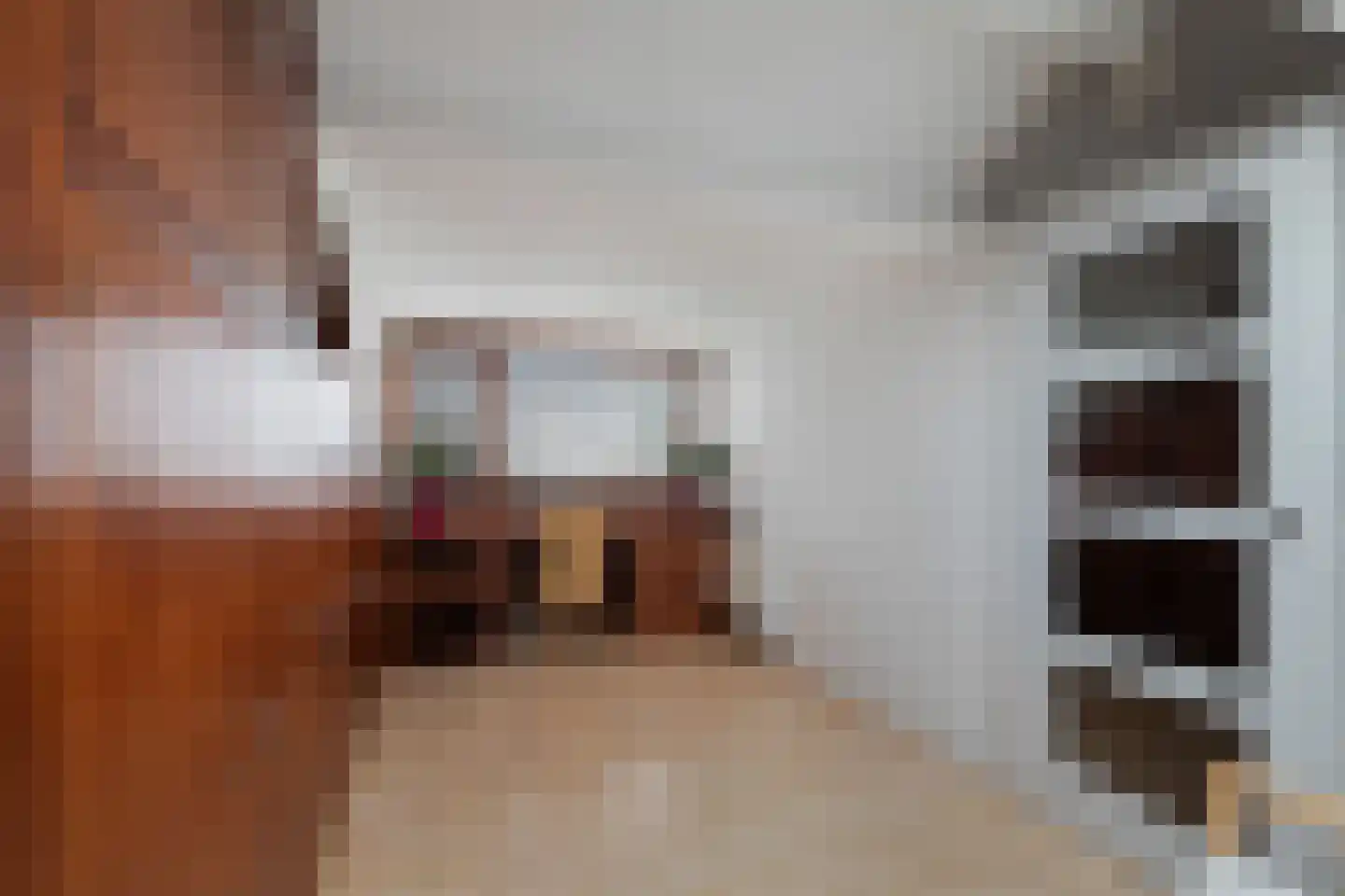 Mariënwaard 17 Capelle aan den IJssel thumbnail 43