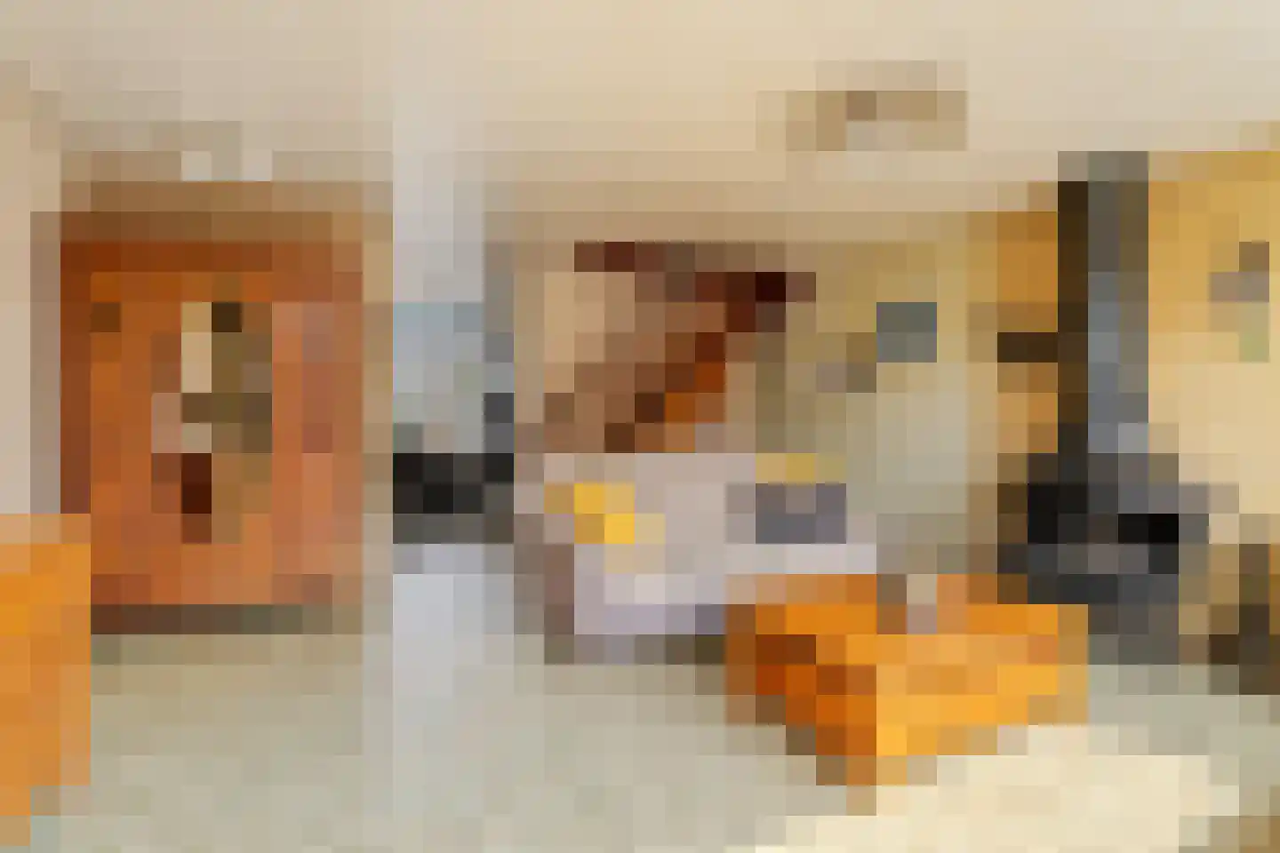 Mariënwaard 28 Capelle aan den IJssel thumbnail 10