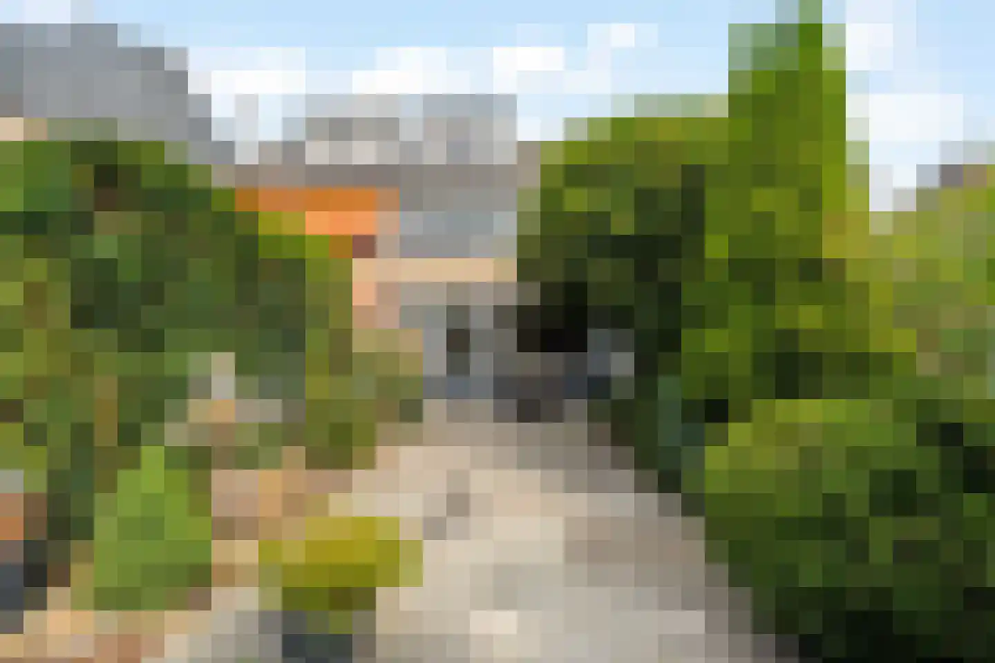 Mariënwaard 28 Capelle aan den IJssel thumbnail 25