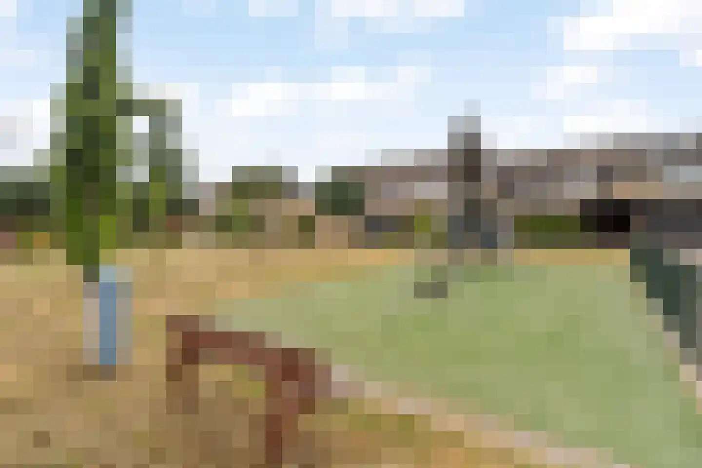 Mariënwaard 28 Capelle aan den IJssel thumbnail 29