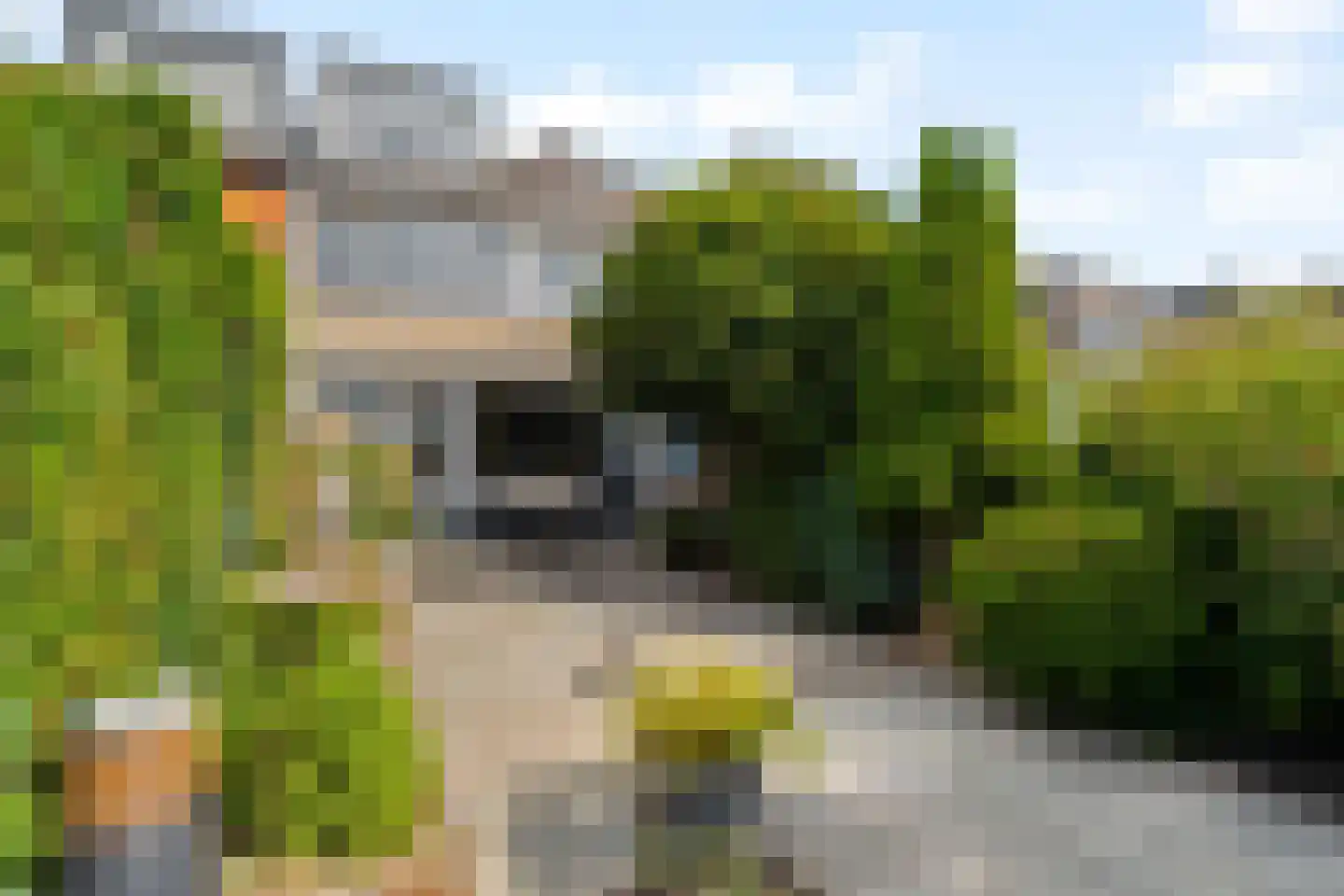 Mariënwaard 28 Capelle aan den IJssel thumbnail 4