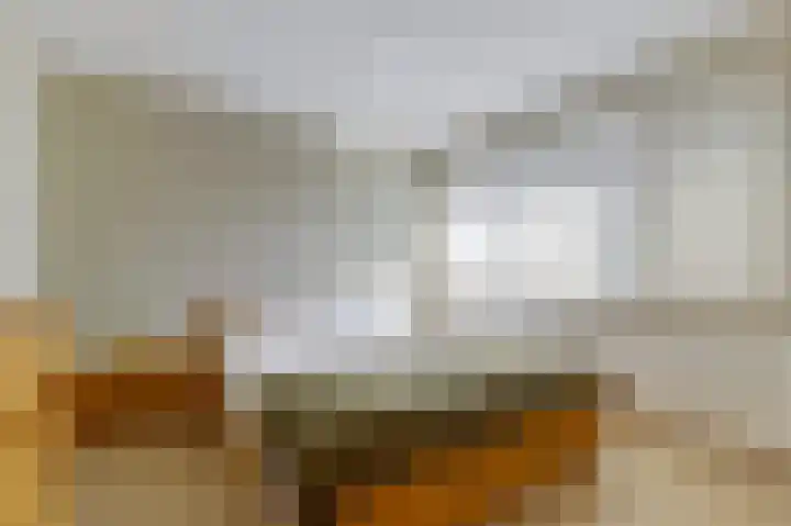Mariënweerd 16 Cuijk thumbnail 25