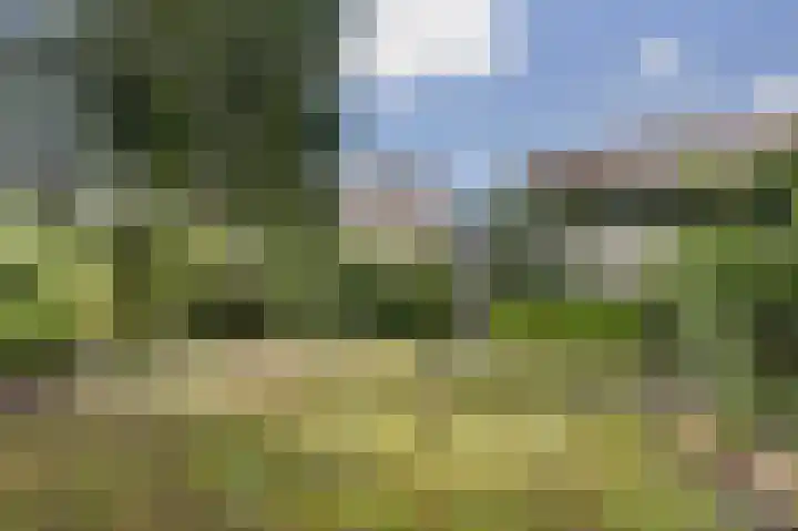 Mariënweerd 16 Cuijk thumbnail 35