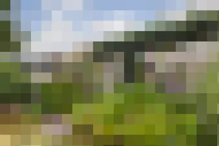 Mariënweerd 16 Cuijk thumbnail 37