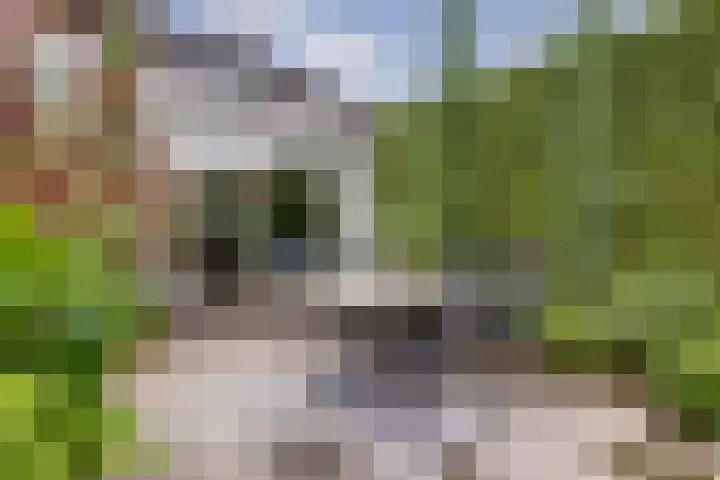 Mariënweerd 16 Cuijk thumbnail 38