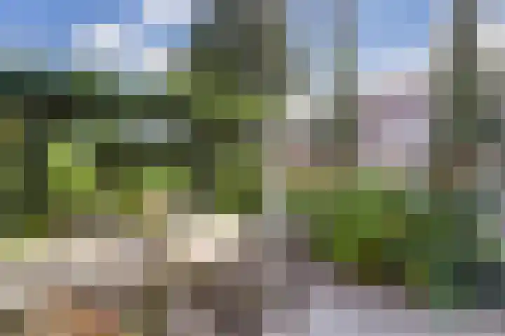 Mariënweerd 16 Cuijk thumbnail 40