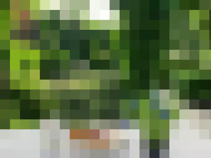 Mariënweerd 16 Cuijk thumbnail 41