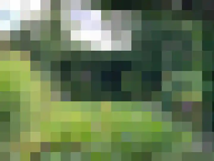 Mariënweerd 16 Cuijk thumbnail 42