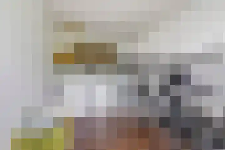 Mariënweerd 16 Cuijk thumbnail 43