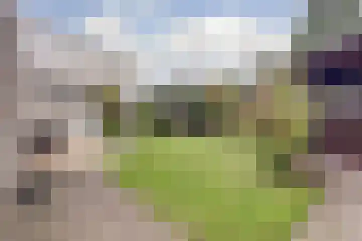 Mariënweerd 27 Weurt thumbnail 38