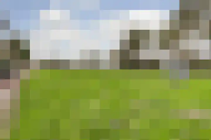 Mariënweerd 27 Weurt thumbnail 43