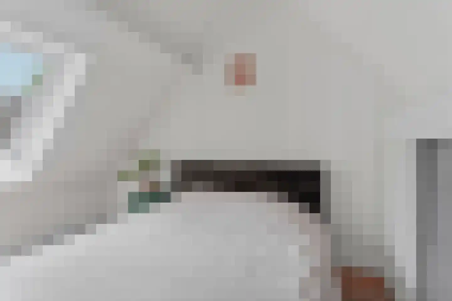 Mariënweerd 34 Weurt thumbnail 24