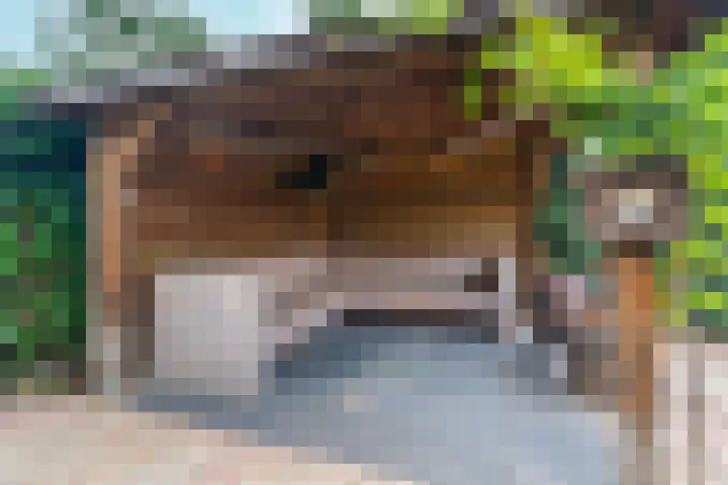 Mariënweerd 34 Weurt thumbnail 37