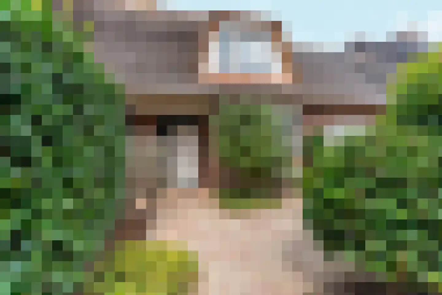 Mariënweerd 34 Weurt thumbnail 41