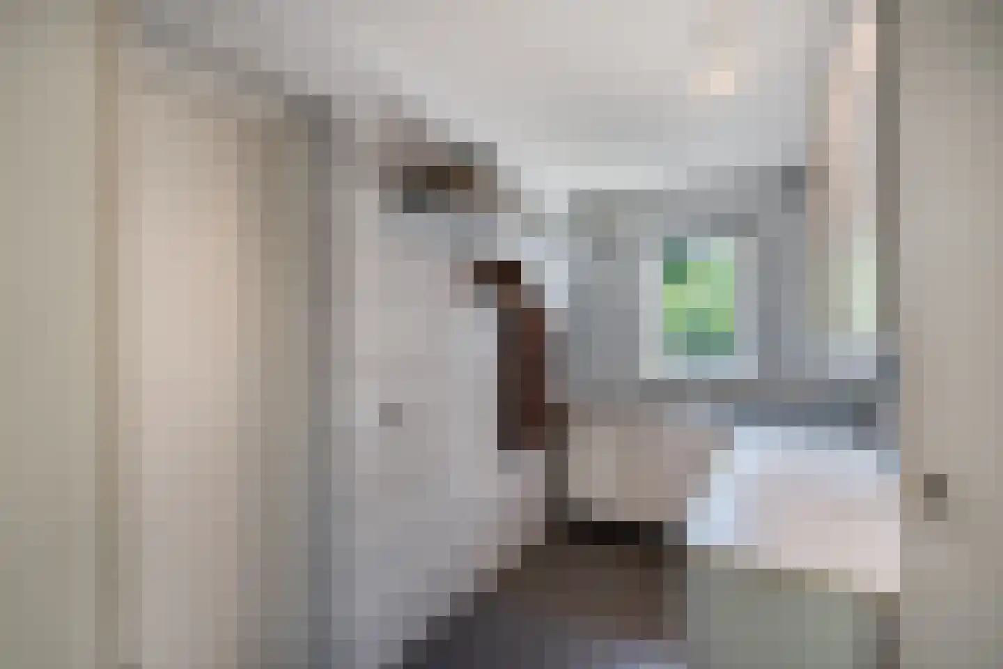 Mariënwold 15 Steenwijkerwold thumbnail 21