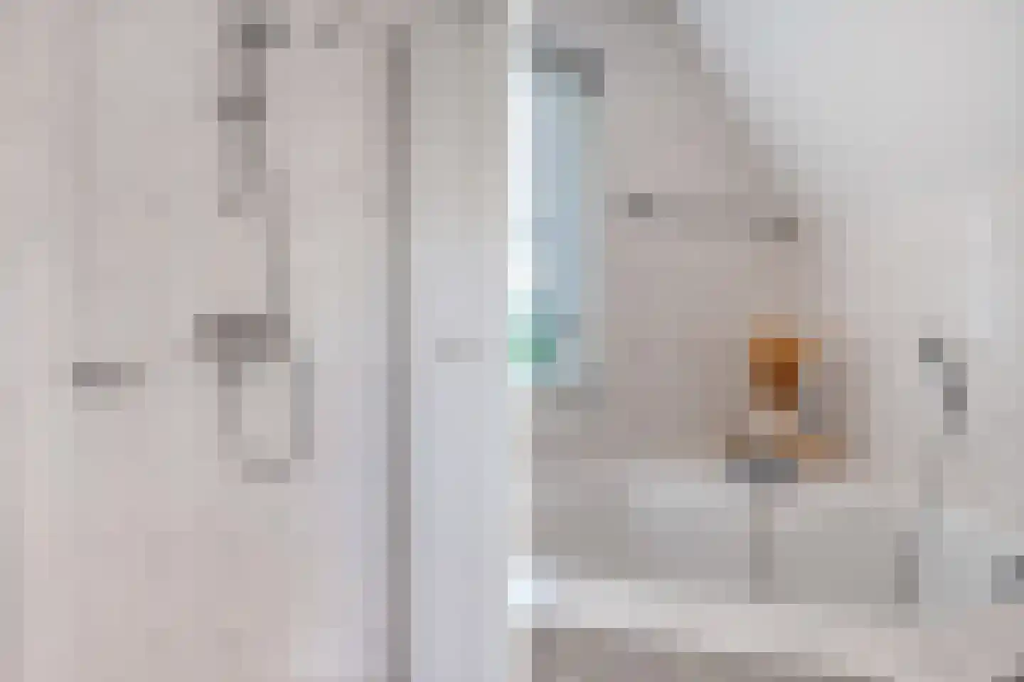 Mariënwold 15 Steenwijkerwold thumbnail 33
