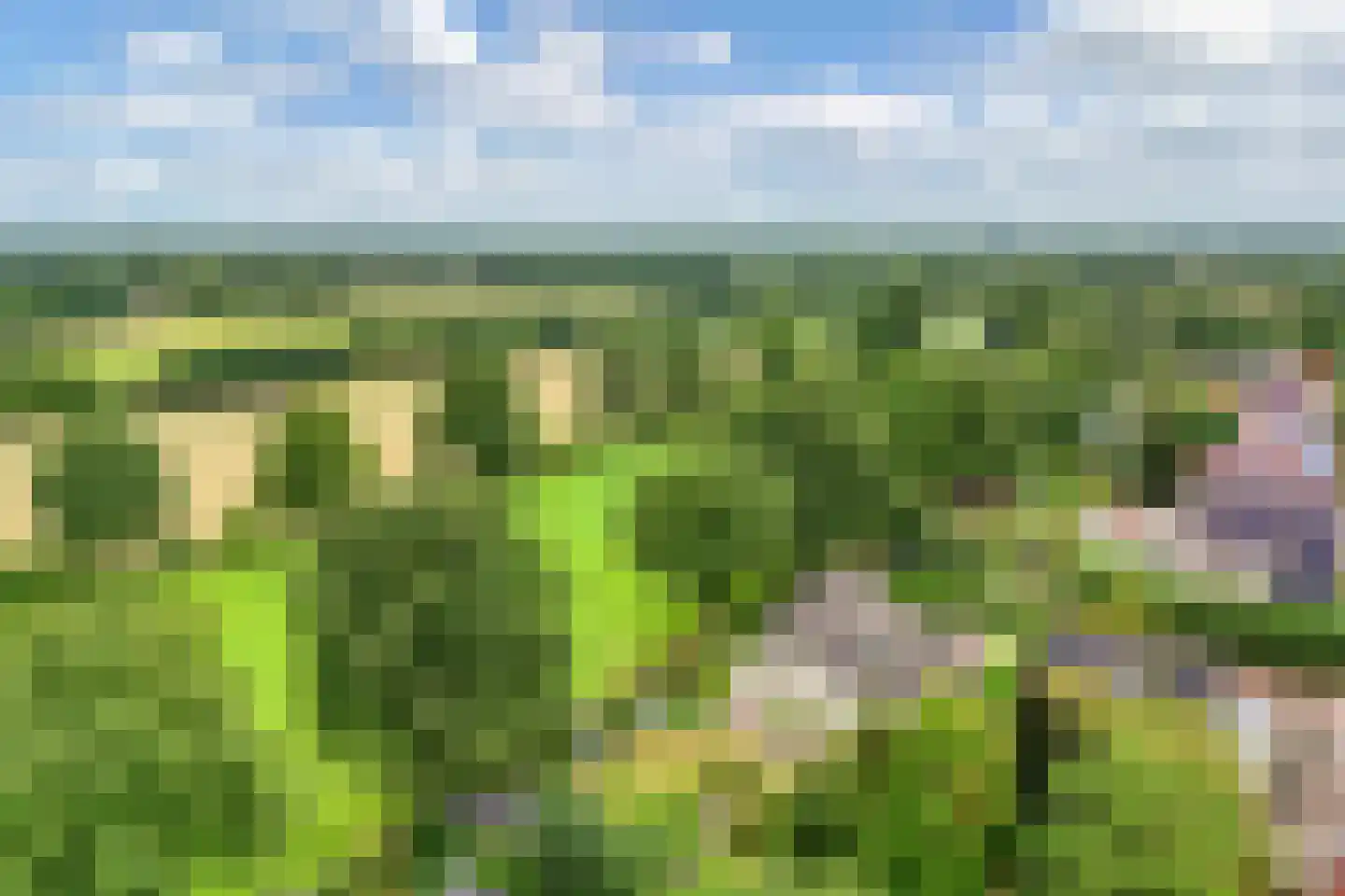 Mariënwold 15 Steenwijkerwold thumbnail 36