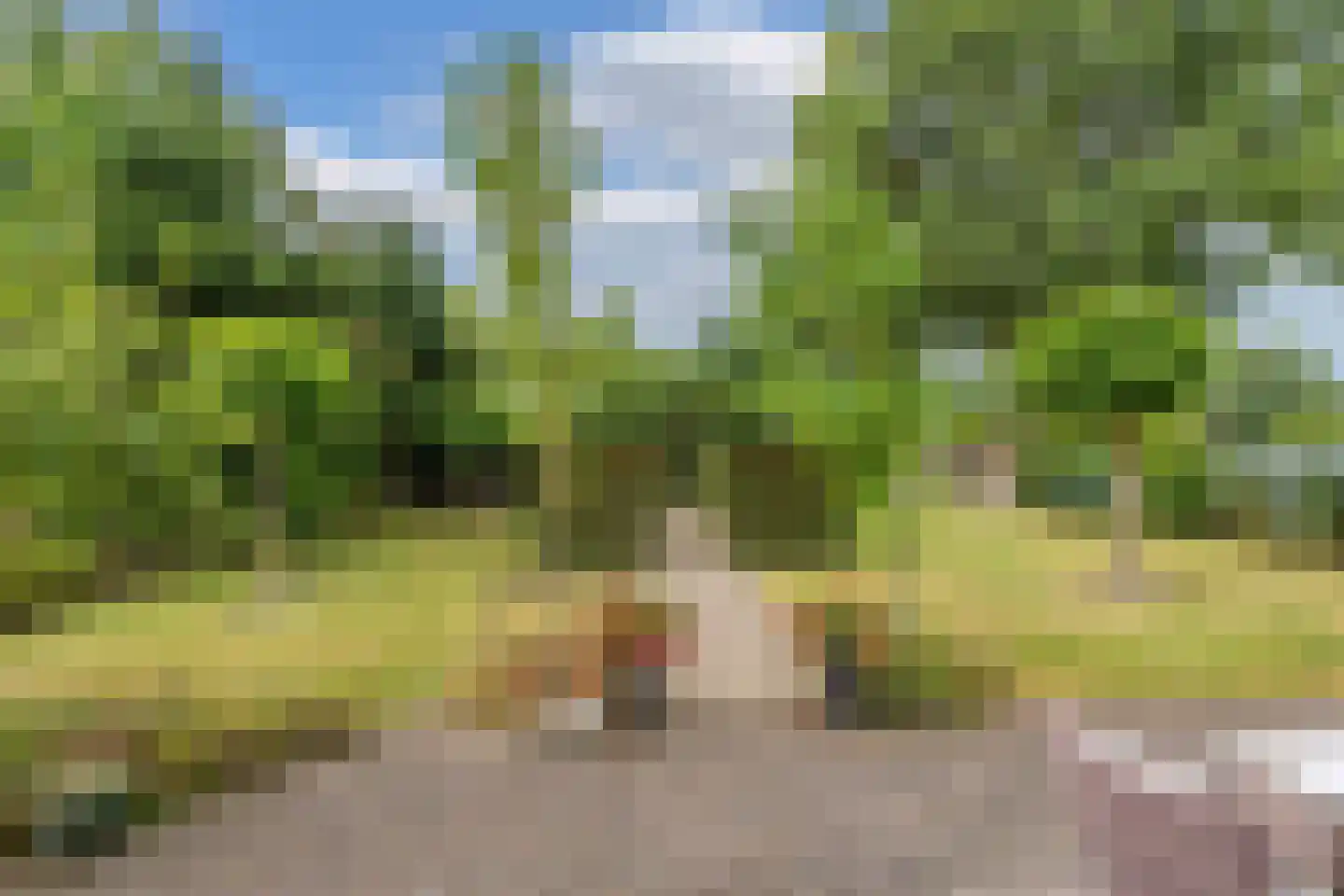 Mariënwold 15 Steenwijkerwold thumbnail 37