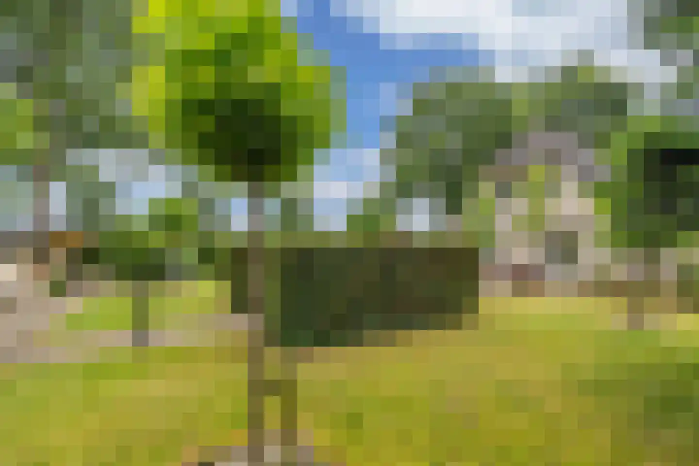 Mariënwold 15 Steenwijkerwold thumbnail 38