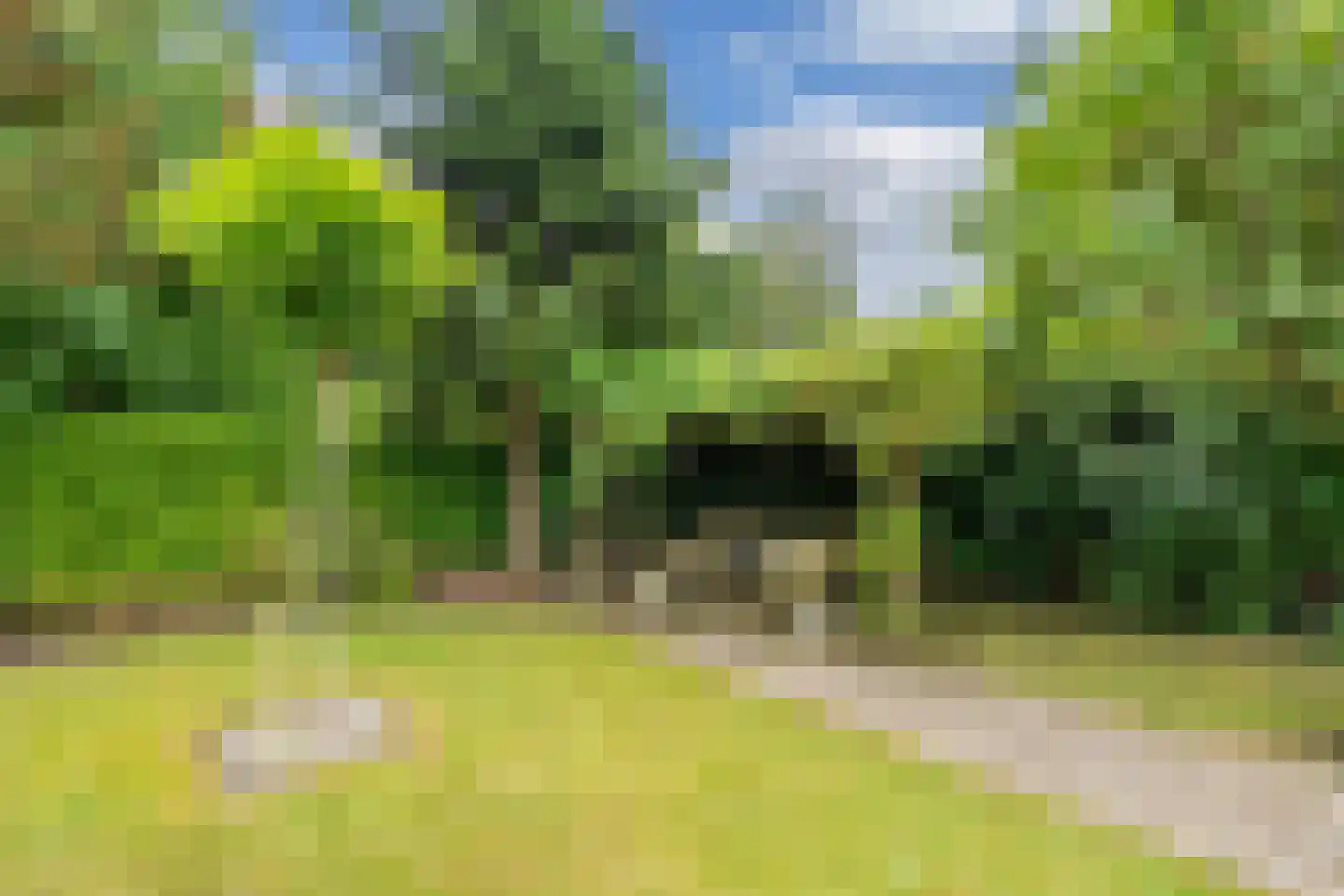 Mariënwold 15 Steenwijkerwold thumbnail 39