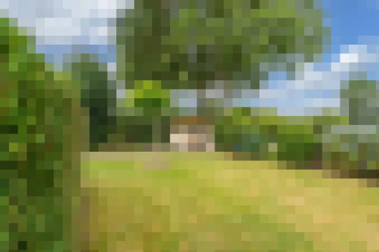 Mariënwold 15 Steenwijkerwold thumbnail 41