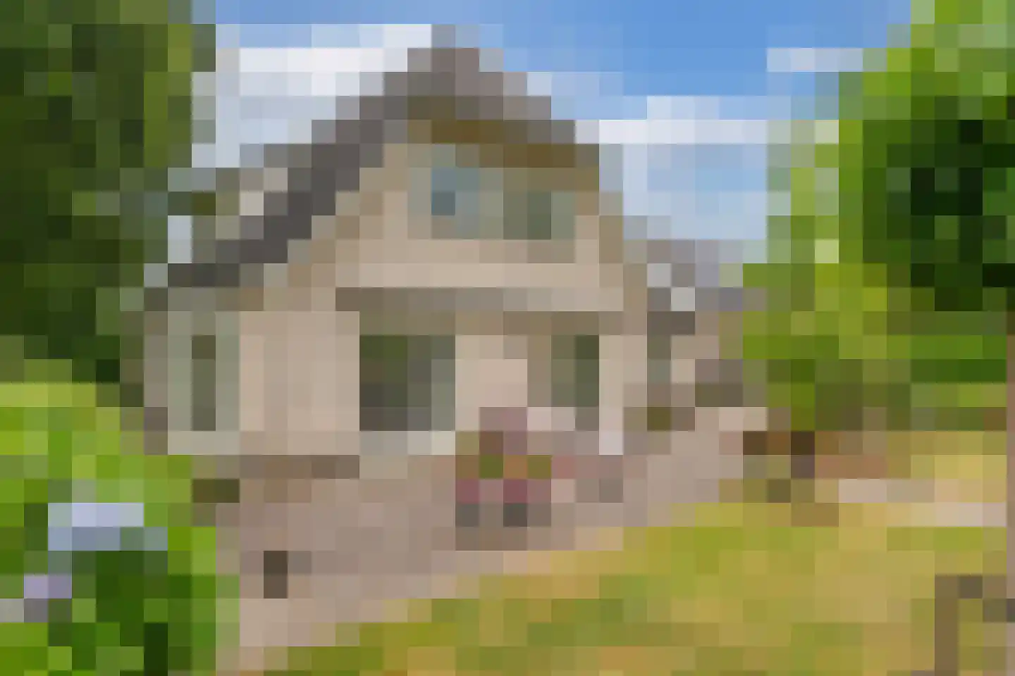 Mariënwold 15 Steenwijkerwold thumbnail 43