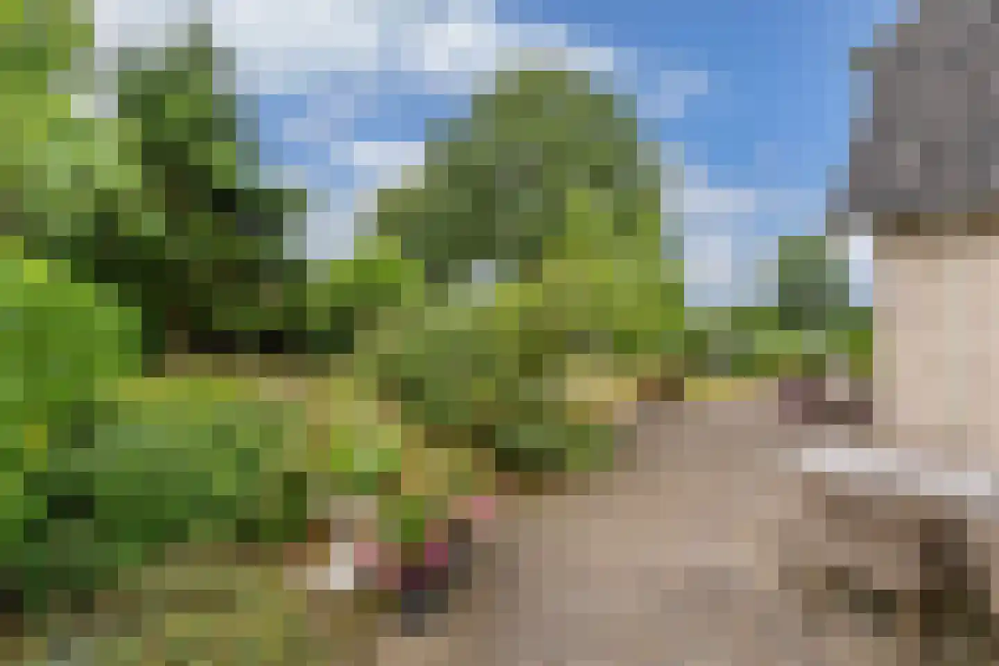 Mariënwold 15 Steenwijkerwold thumbnail 46