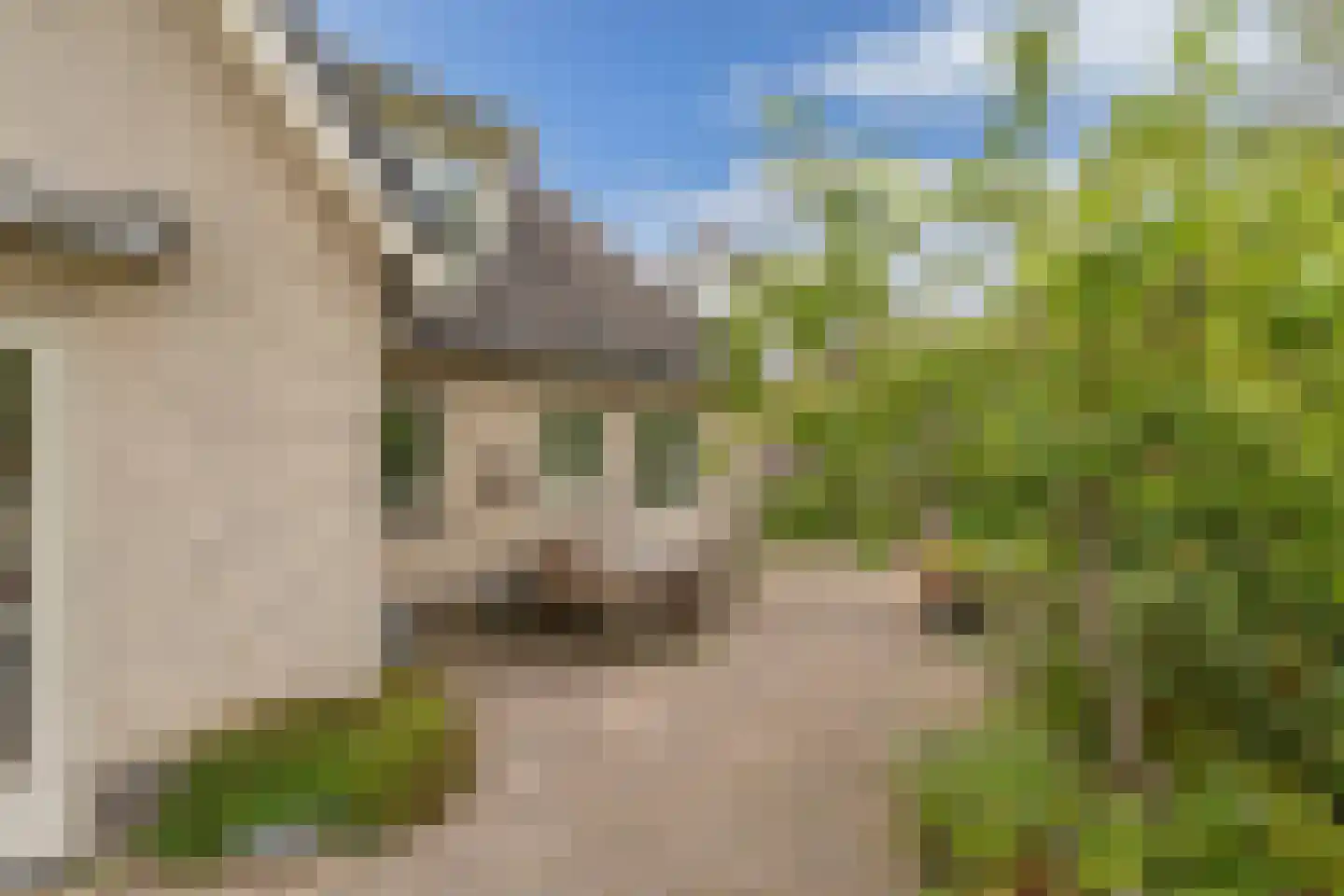 Mariënwold 15 Steenwijkerwold thumbnail 47