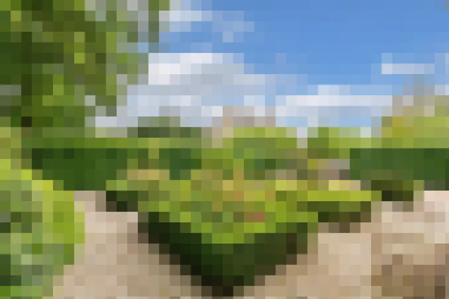 Mariënwold 15 Steenwijkerwold thumbnail 48