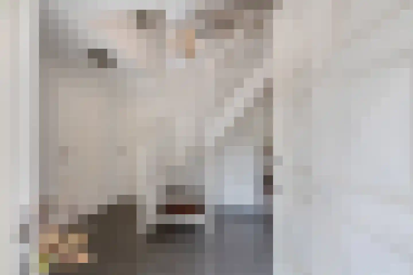 Mariënwold 15 Steenwijkerwold thumbnail 5