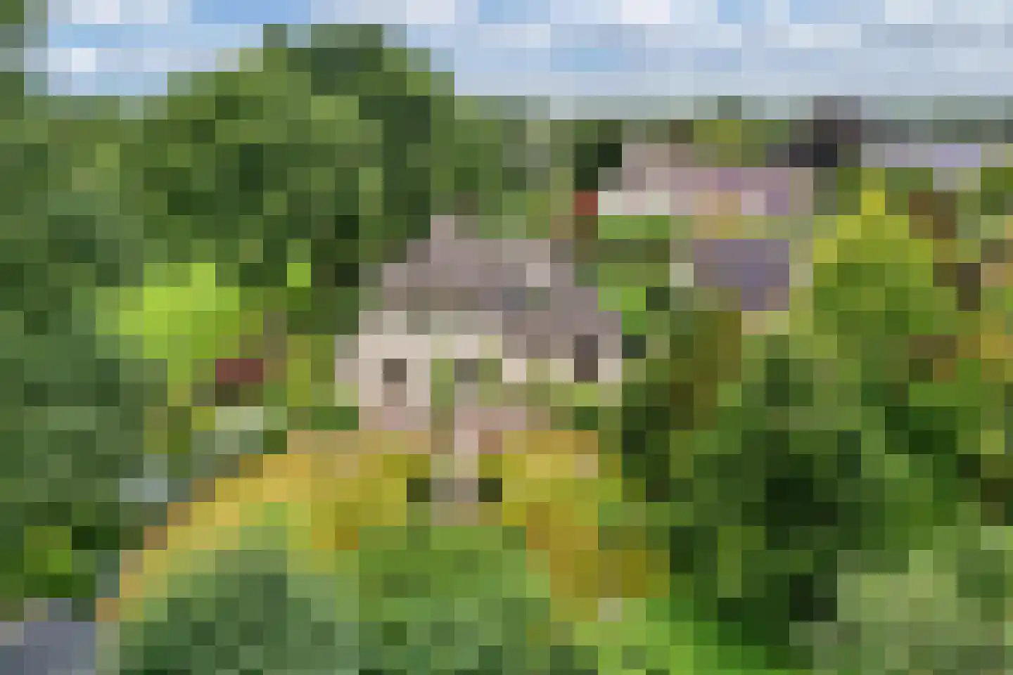 Mariënwold 15 Steenwijkerwold thumbnail 50