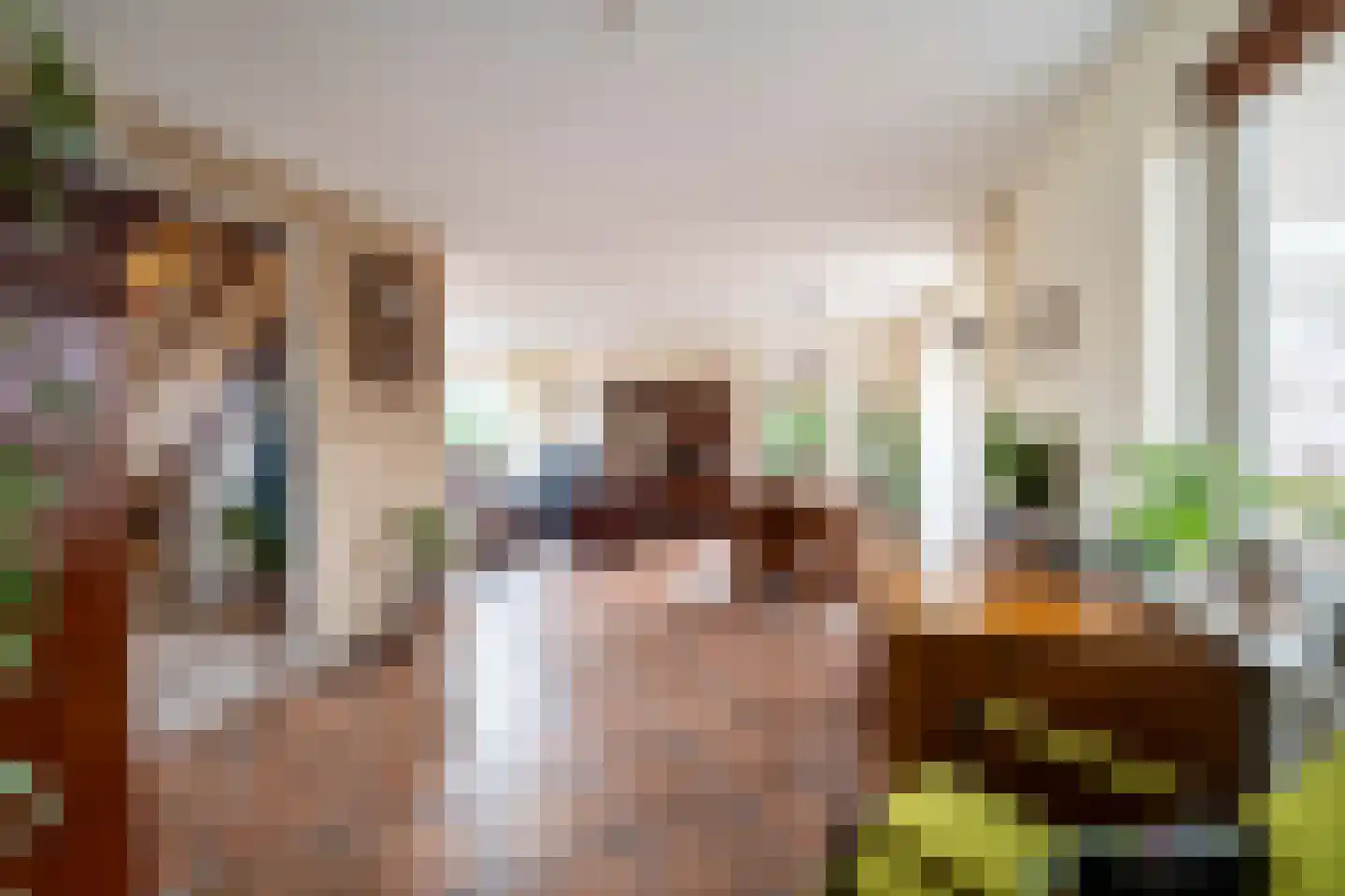 Mariënwold 24 Steenwijkerwold thumbnail 11