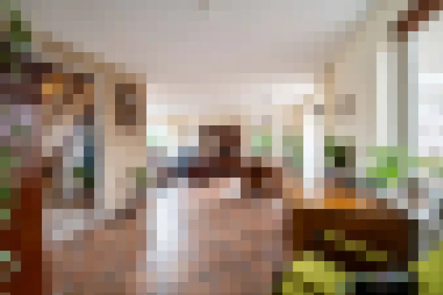 Mariënwold 24 Steenwijkerwold thumbnail 11
