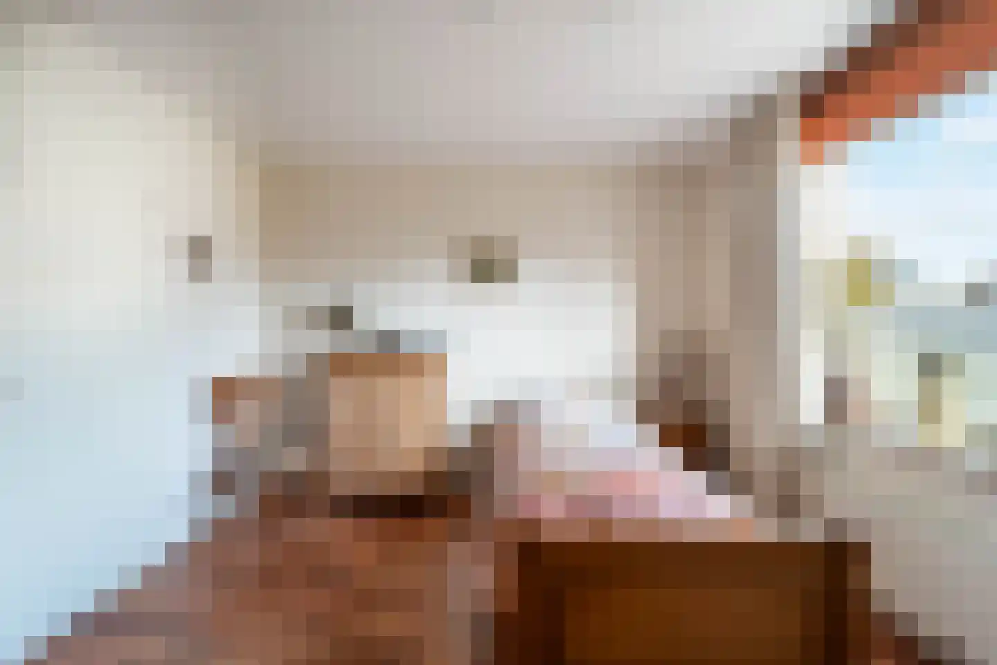Mariënwold 24 Steenwijkerwold thumbnail 17