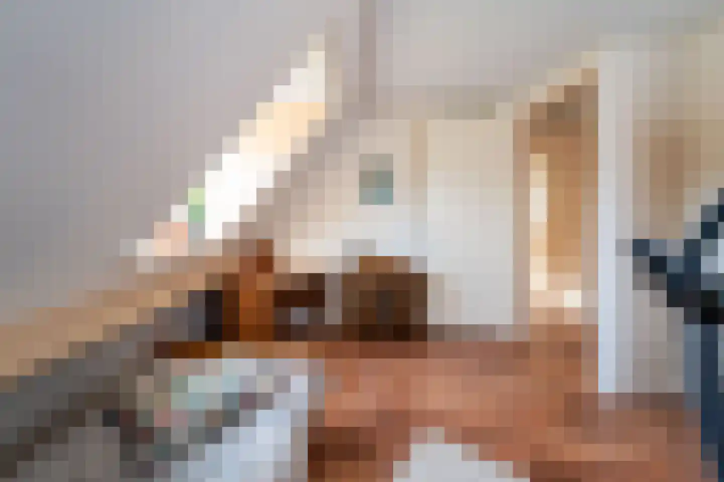 Mariënwold 24 Steenwijkerwold thumbnail 28