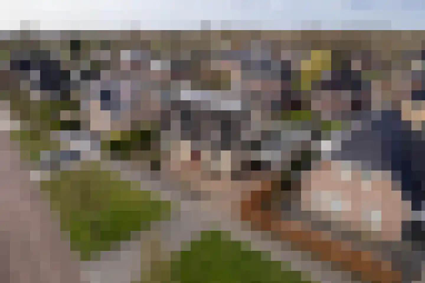 Mariënwold 24 Steenwijkerwold thumbnail 31