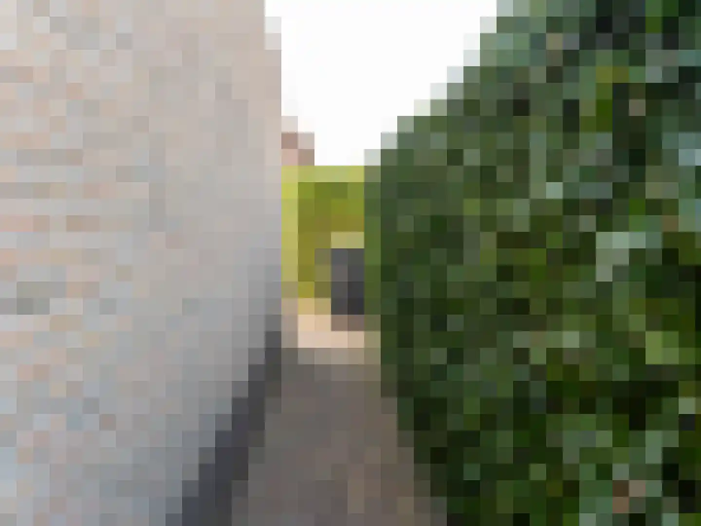 Mariënwold 24 Steenwijkerwold thumbnail 35