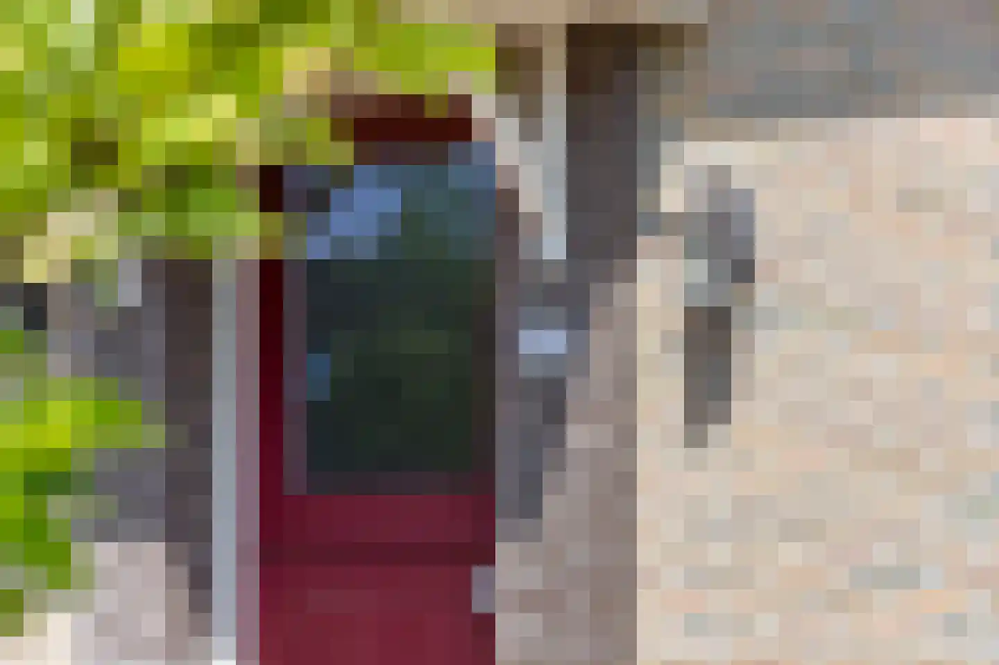 Mariënwold 24 Steenwijkerwold thumbnail 4