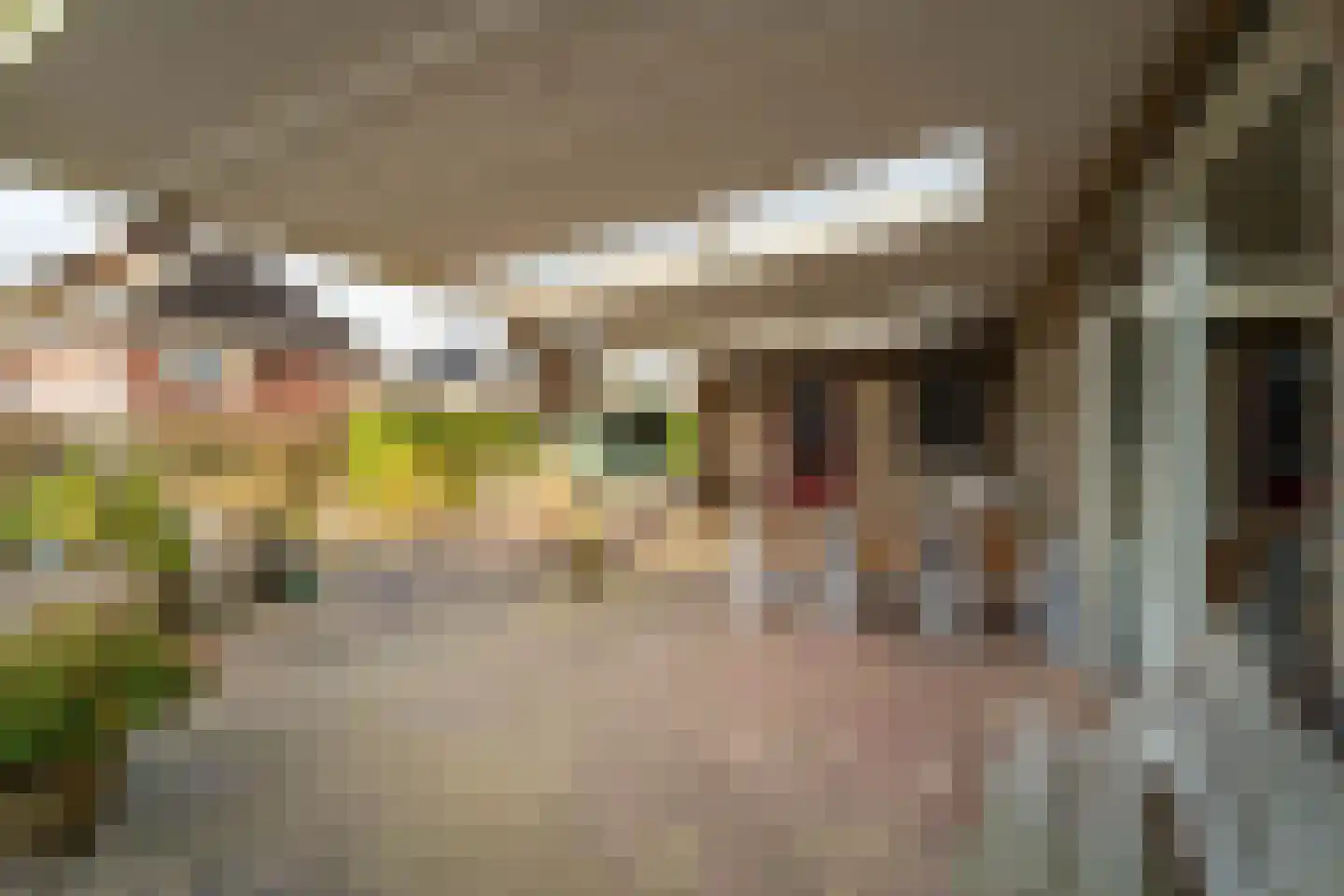 Mariënwold 24 Steenwijkerwold thumbnail 43