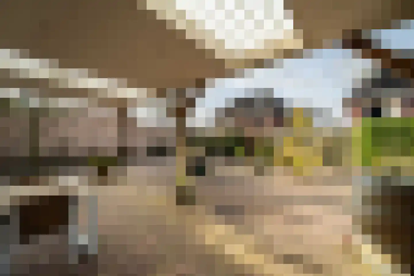 Mariënwold 24 Steenwijkerwold thumbnail 44