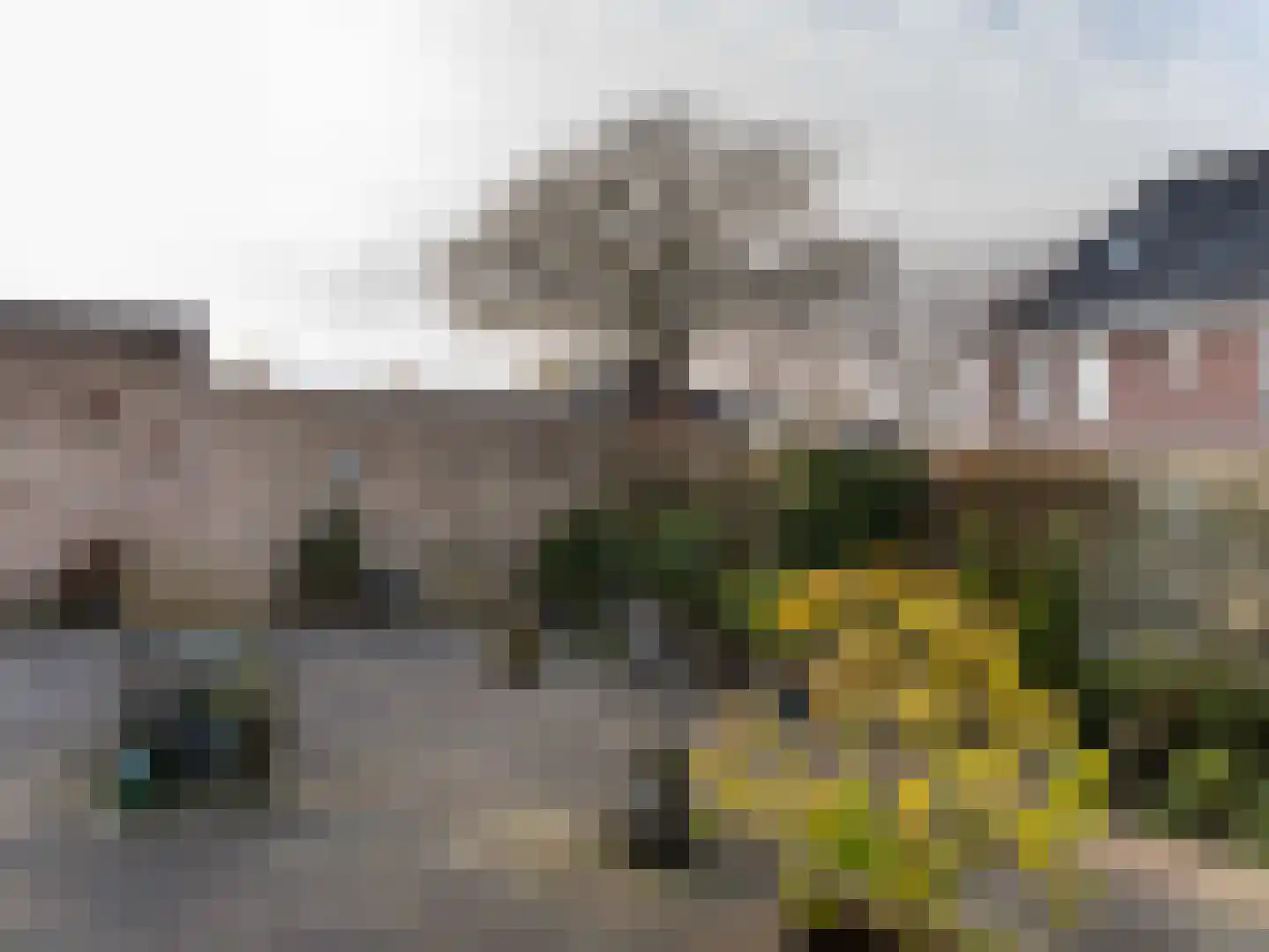 Mariënwold 24 Steenwijkerwold thumbnail 47
