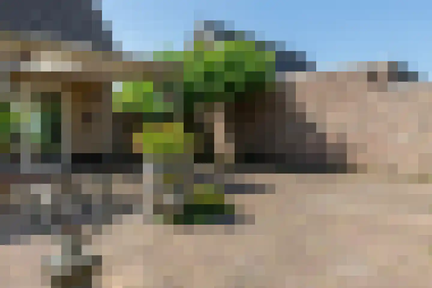Mariënwold 24 Steenwijkerwold thumbnail 58