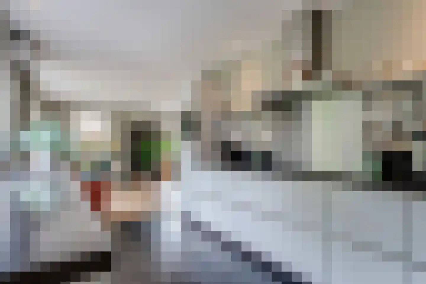 Mariënwold 65 Steenwijkerwold thumbnail 11