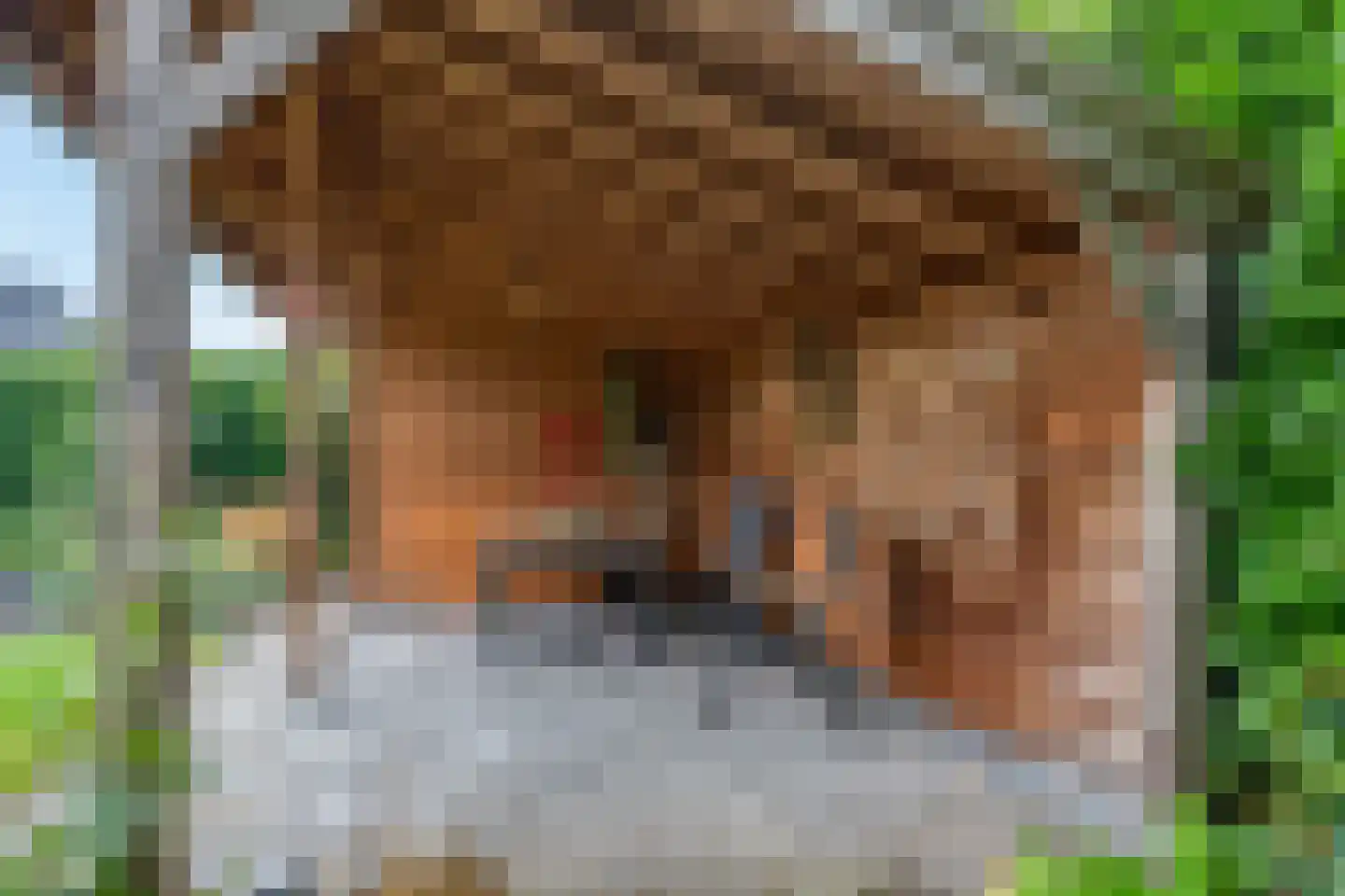 Mariënwold 65 Steenwijkerwold thumbnail 36