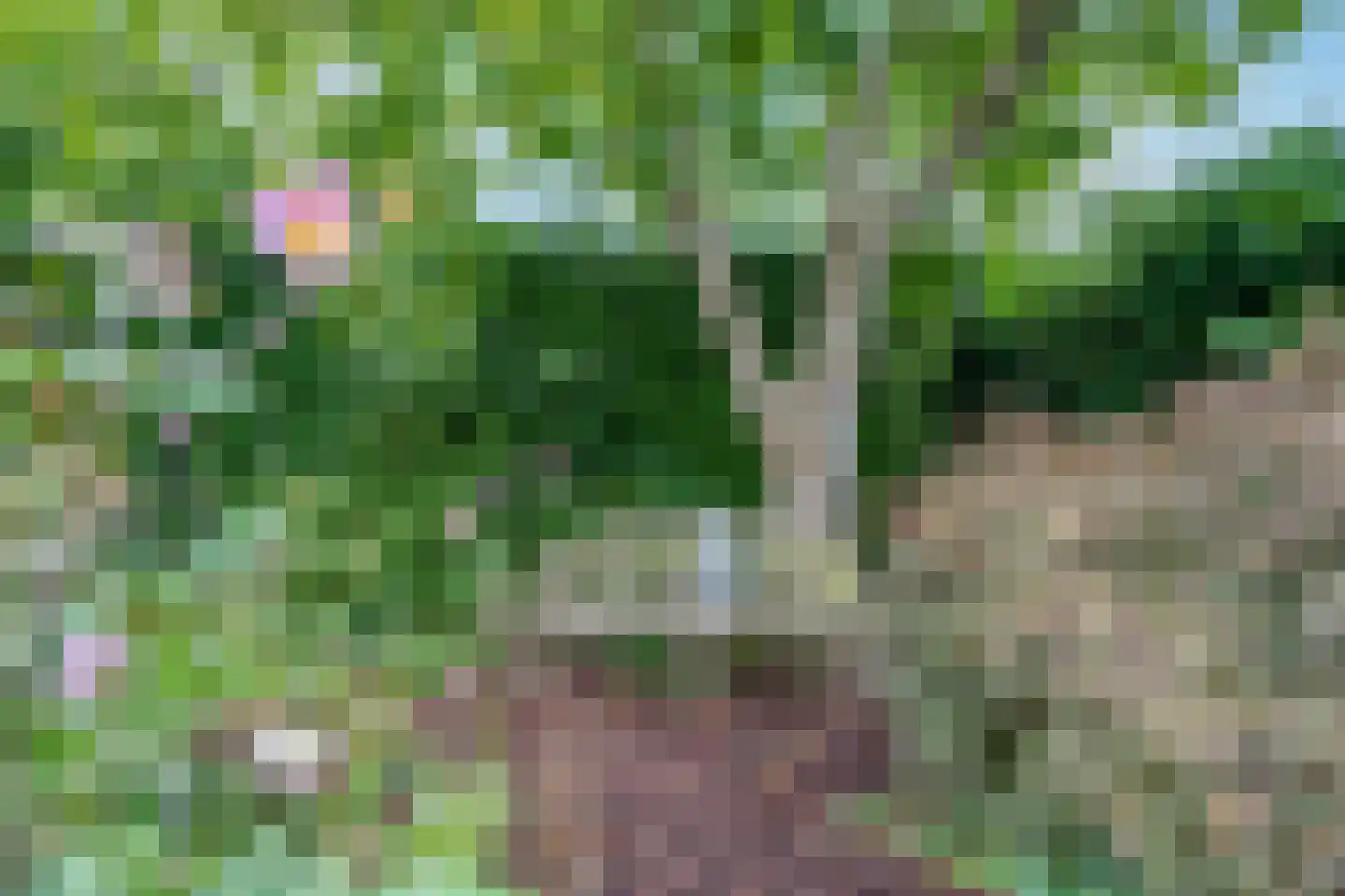 Mariënwold 65 Steenwijkerwold thumbnail 41