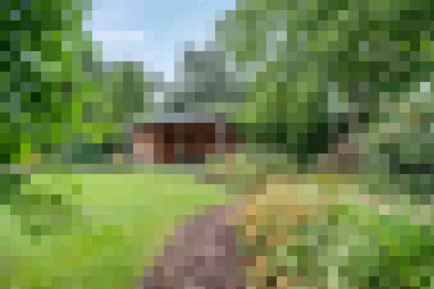 Mariënwold 65 Steenwijkerwold thumbnail 42